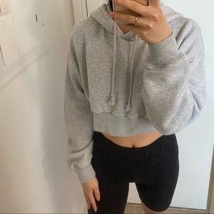 Aritzia TNA Cropped Hoodie in grey